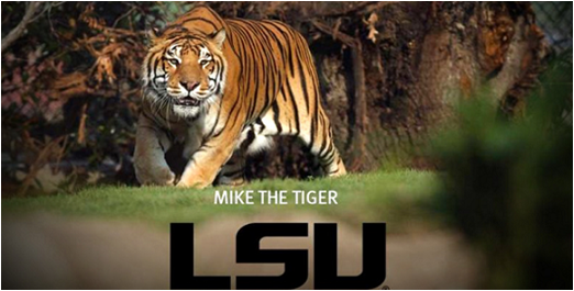 LSU'sMiketheTiger03052015