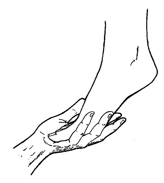 wpe1.jpg (5339 bytes)