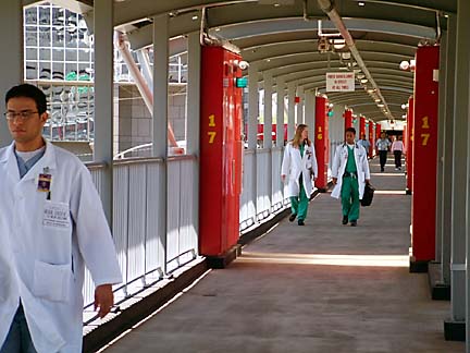 The Walkway To Wellness, Completed in 2003