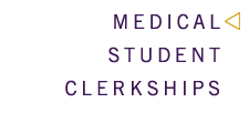 Clerkship