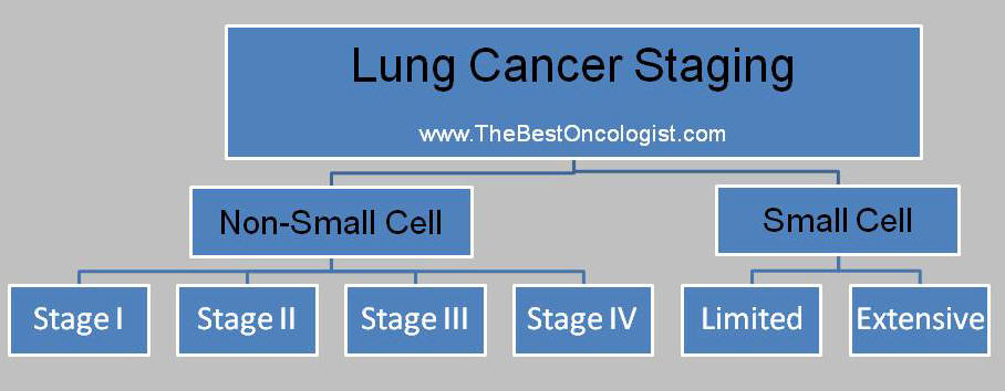 lung_cancer_staging_schema