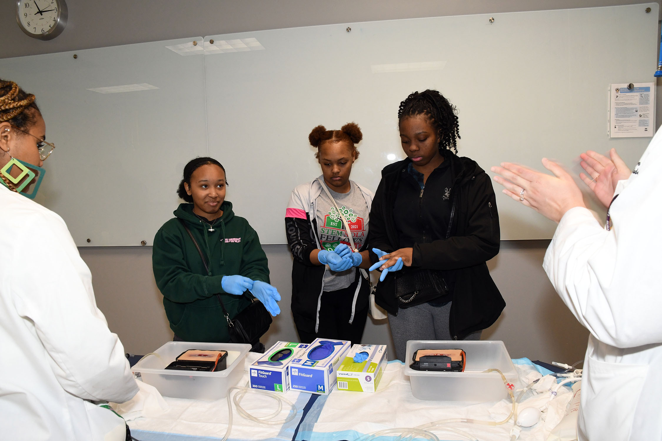 STEM Fellows