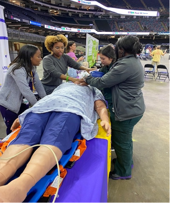 STEM Fest