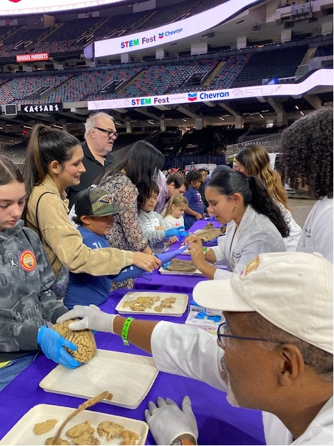 STEM Fest