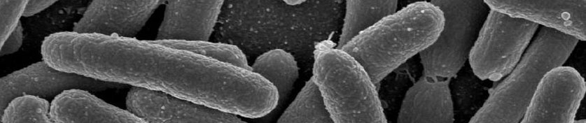 microbiome