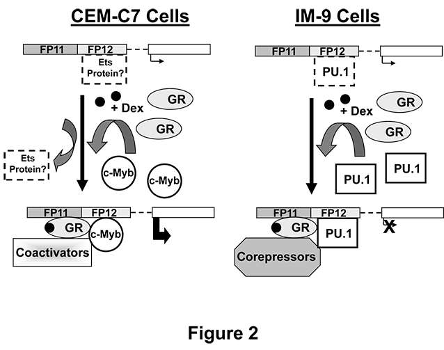 Figure-2-pict