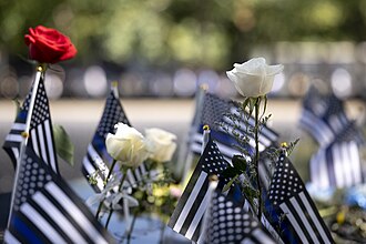 American flags and roses placed in remembrance at the 9/11 Memorial in New York City.