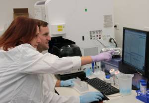 Cancer researchers working