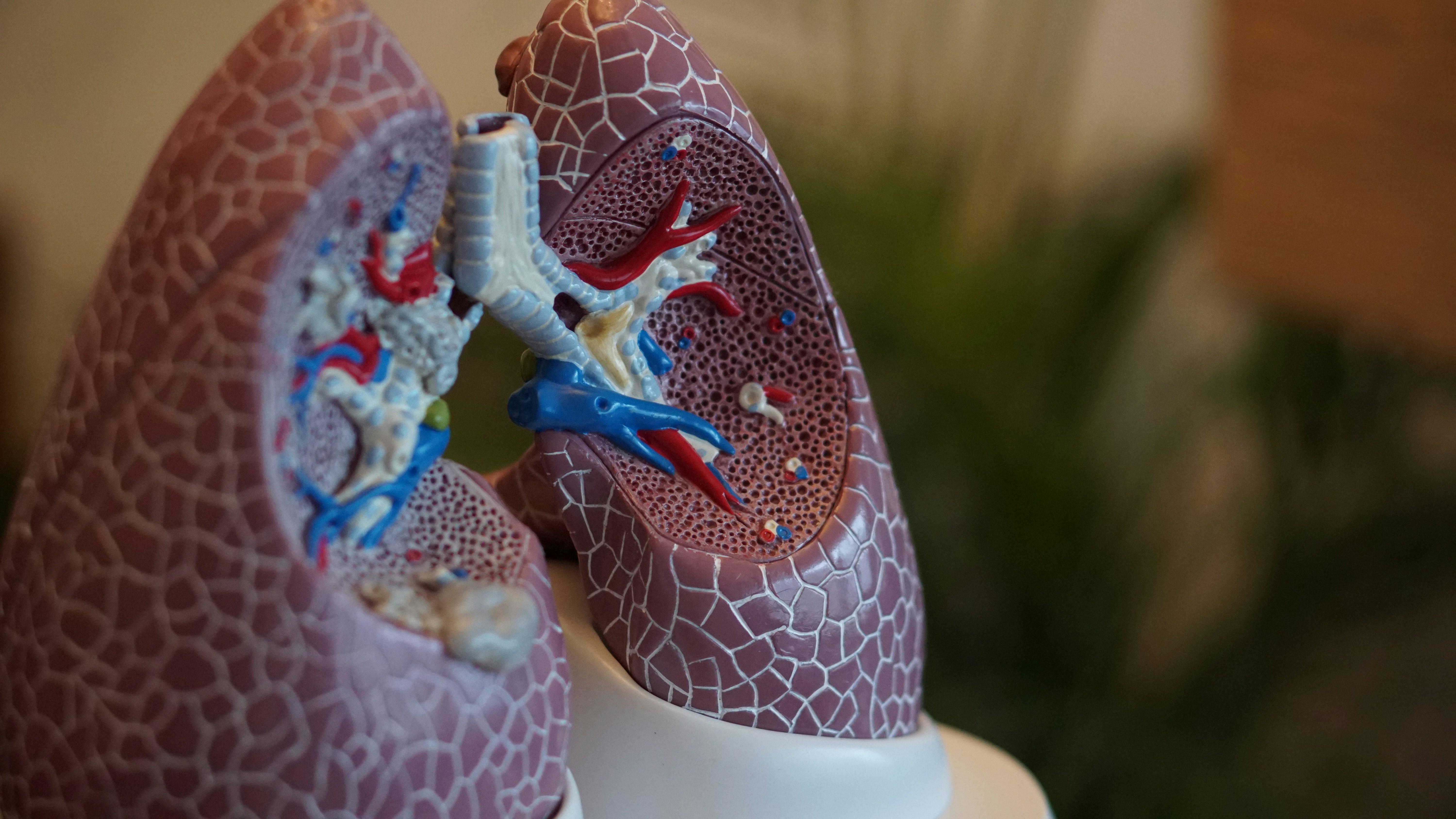 Lung Awareness