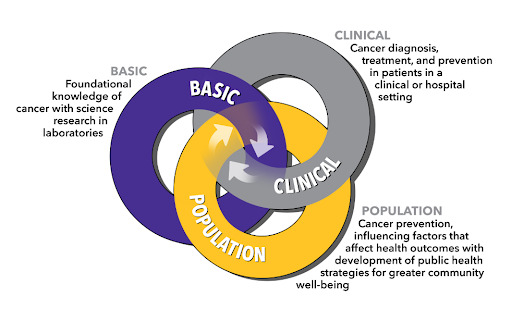 Translational Medicine Cycle
