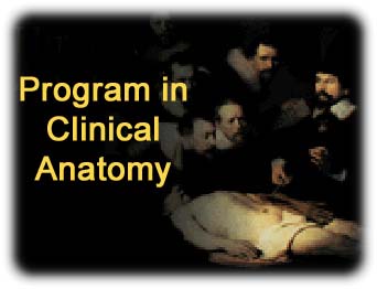 clinicalanatomy