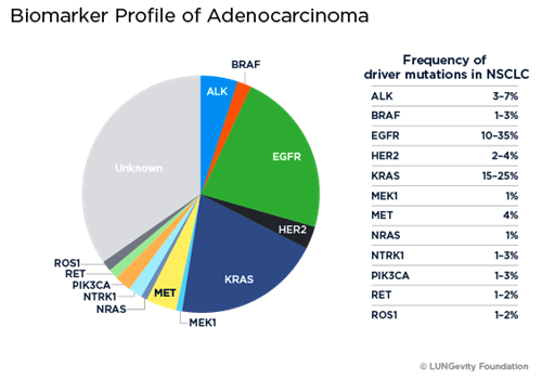 adeno-pie-chart-082616