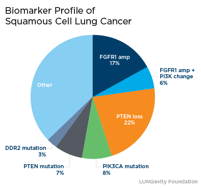 Mutations In Lung Cancer Pie Chart