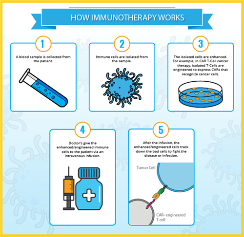 how imunnotherapy works