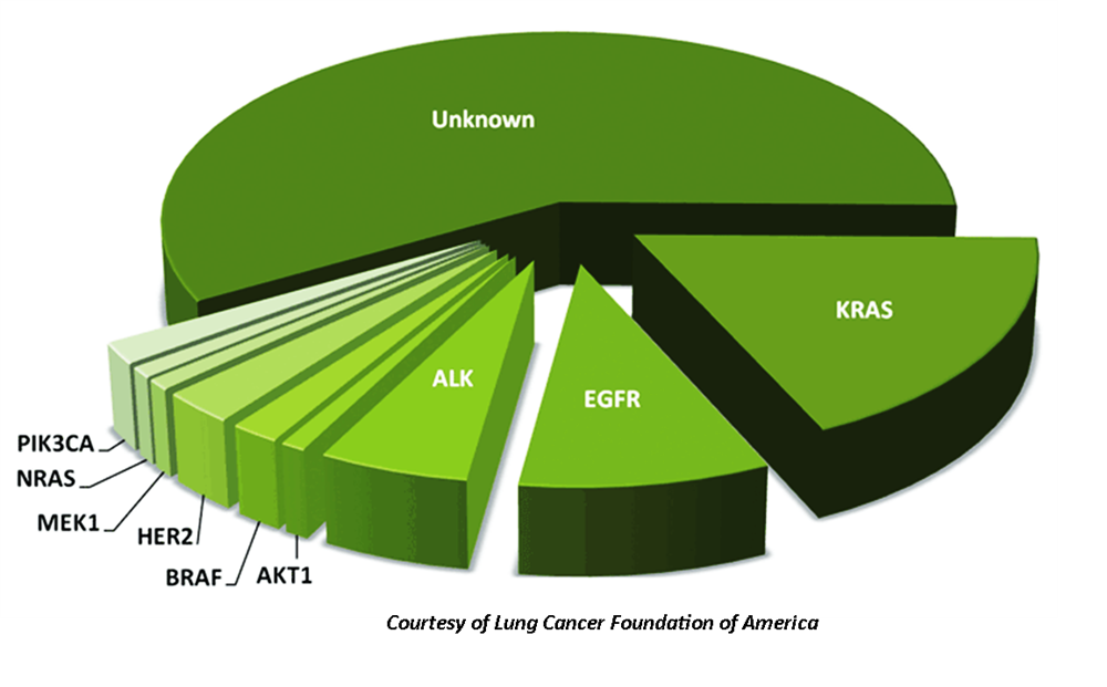 lung mutations target therapy