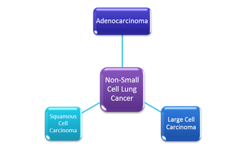 non small cell types