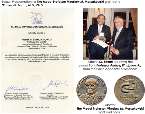 Medal Professor Award