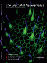 J neurosci 2004