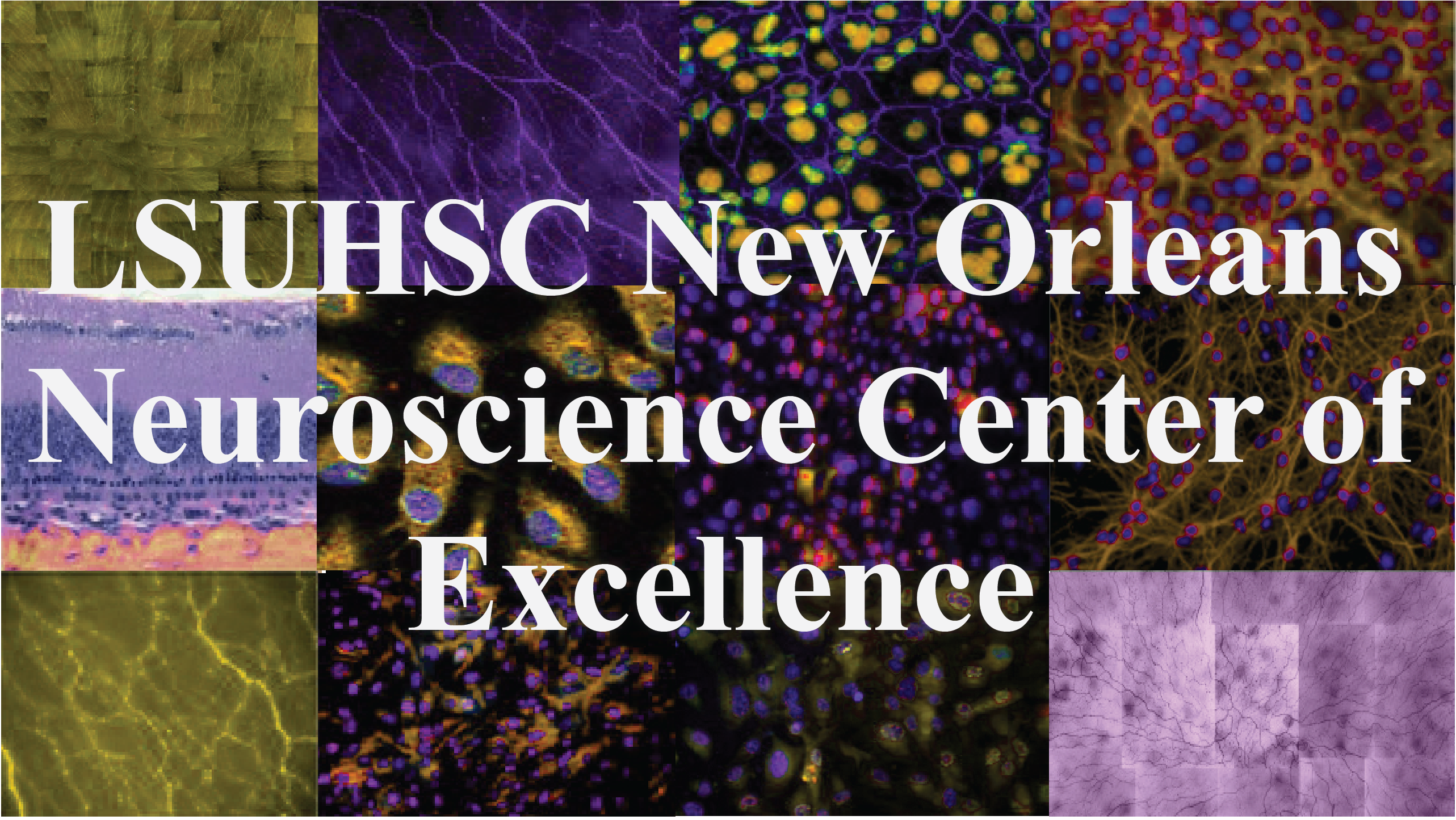 LSUHSC New Orleans Neuroscience Center of Excellence Sign
