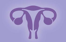 uterus