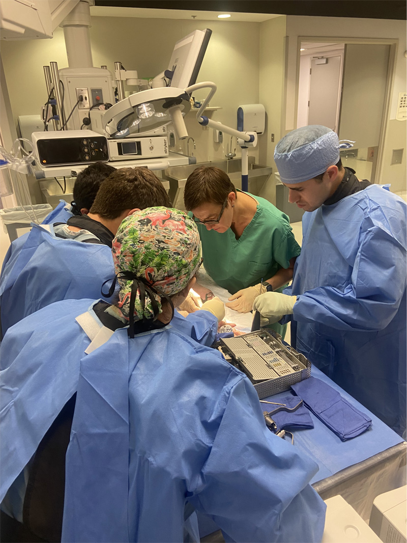 LSU Orthopaedics April Grand Rounds Focused on Hand and Upper Extremities