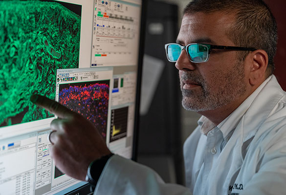Dr. Luis Marrero in Lab