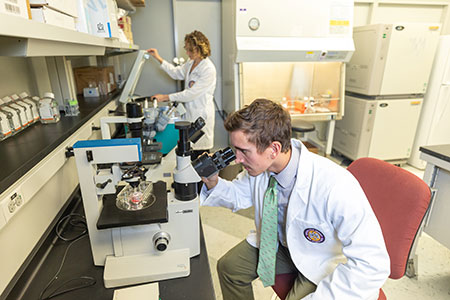 Scientist using microscope