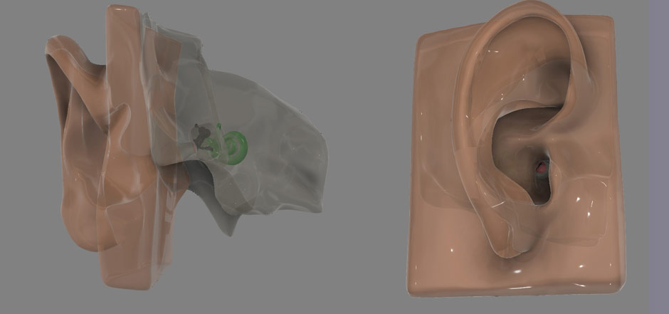 Ear and Temporal Bone Models for Otology Simulator