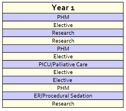 year 1 schedule