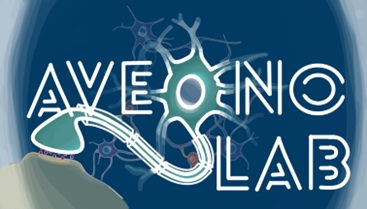 The Avegno Lab