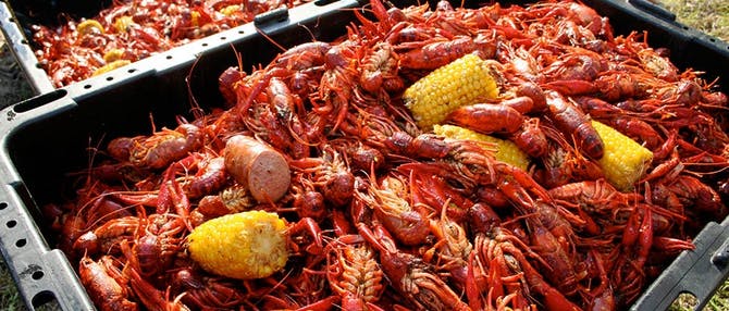 Web-Article-Crawfish-Boil-Break-Down-Technique