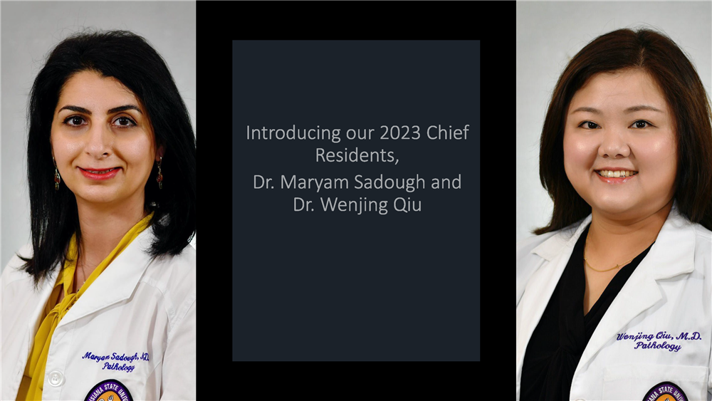 Image of New Chief Residents