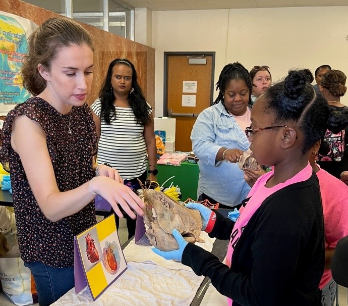 Margaret Larsen demonstrates a human heart and lung to a Girl Scout