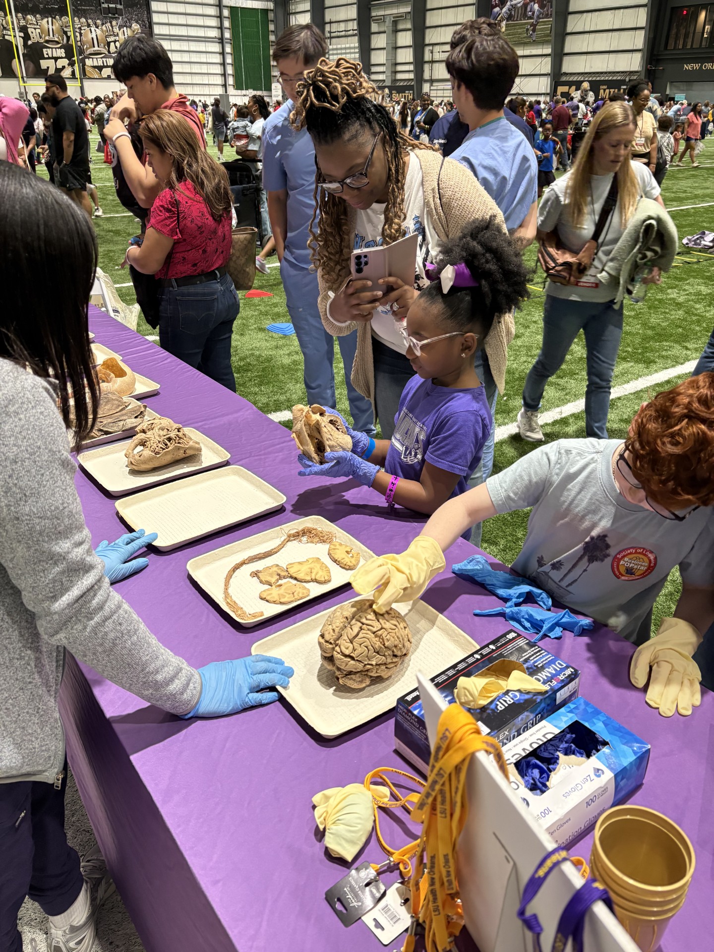 Children gather to explore organs