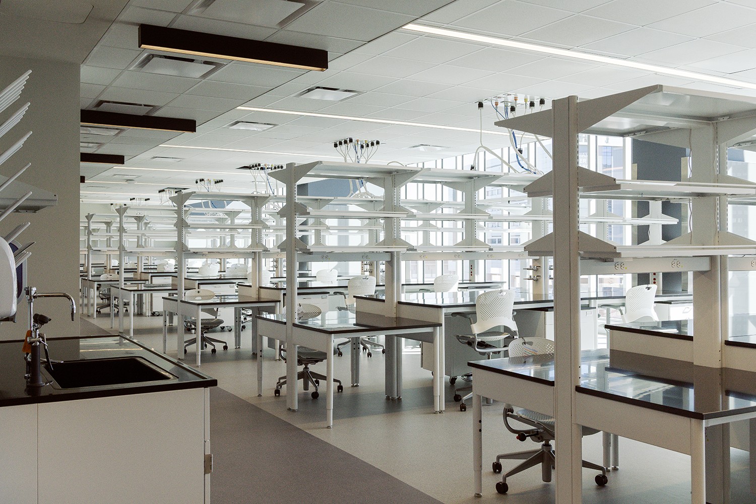 Lab space within LSUHSC MEB