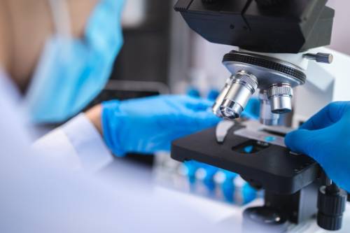 microscope