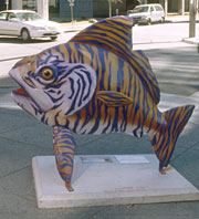 tiger_fish