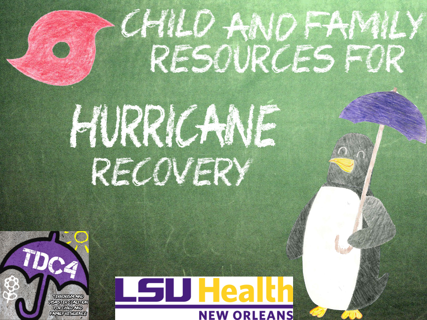 Hurricane Recovery