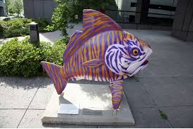 LSUHSCNO%20TigerFish